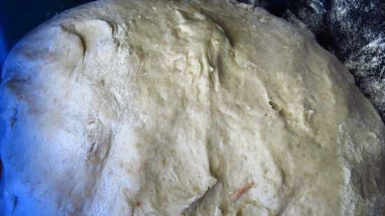 Pane alle cipolle alla crema con farina integrale con lievito liquido Cipollino