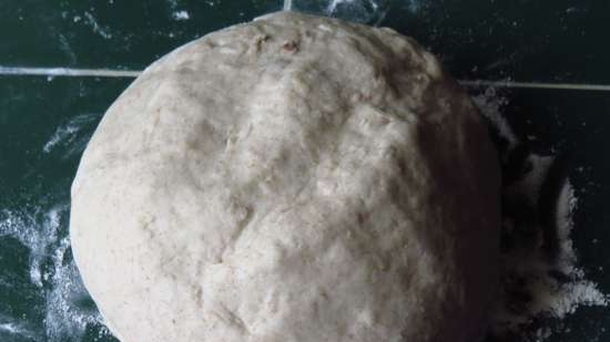 Pane alle cipolle alla crema con farina integrale con lievito liquido Cipollino