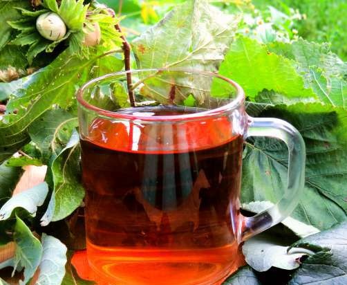 Fermentowana herbata z liści ogrodowych i dzikich roślin (klasa mistrzowska)