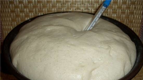How to check if the dough is ready for baking? Finished dough temperature
