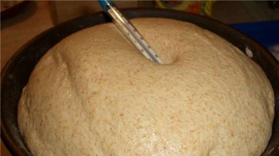 Hogyan tárolok és készítek régi (savanyú) tésztát gyúráshoz