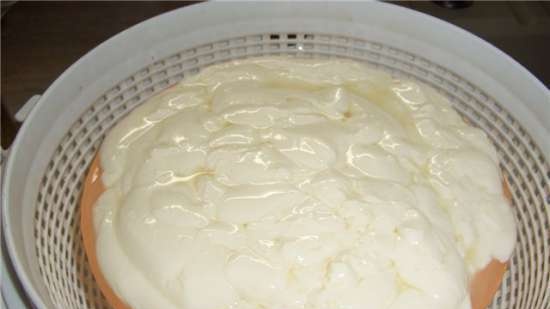 גבינה ביתית רכה טבעית על מחמצת פפסין