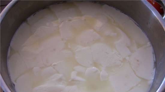 גבינה ביתית רכה טבעית על מחמצת פפסין