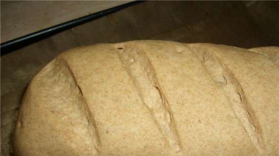 رجل خبز الزنجبيل دقيق الحبوب الكاملة. فئة رئيسية