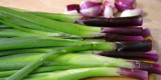 Onion varieties and their uses