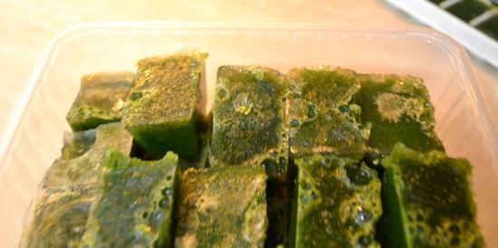 Celery stalk juice cubes, frozen