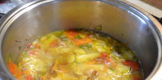 Fresh cabbage soup (reconstituted from frozen stock)