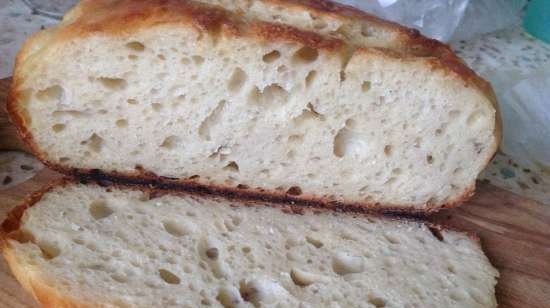 Pane senza impastare in 13 ore (in forno)