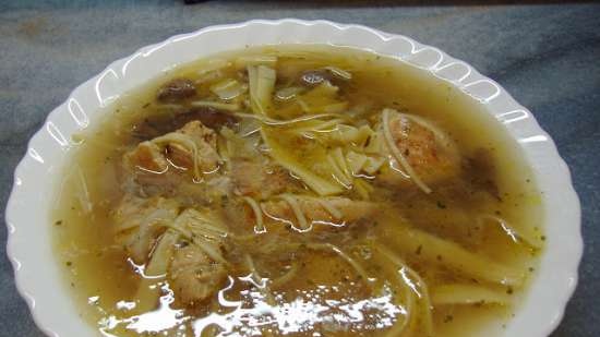 Zuppa di pollo veloce con noodles fatti in casa (Steba DD1)
