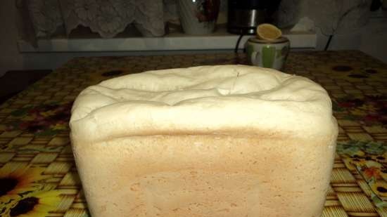 صانع الخبز SATURN ST-EC0129