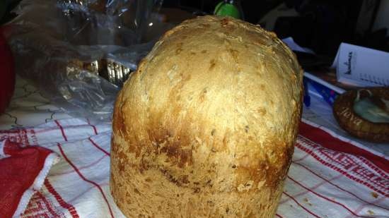 Macchina per il pane Moulinex con porta mini baguette - Voglio condividere le mie impressioni!