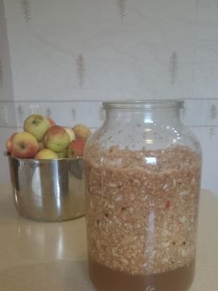 Vinagre de sidra de manzana natural de fermentación natural según Jarvis