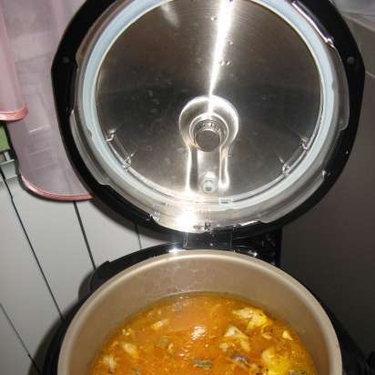 حساء السمك والجزر (متعدد الطهي SUPRA MCS-5151)