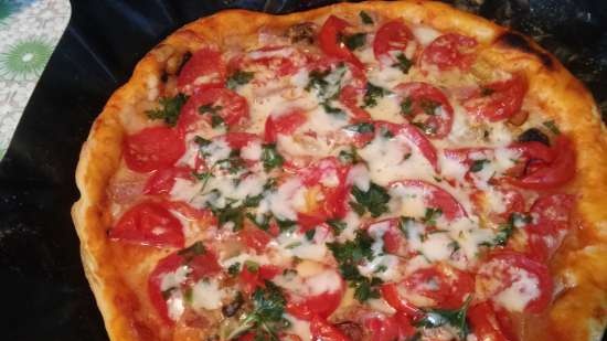 Pizza készítők: Princess 115000-01, Tristar, GF, Travola, Clatroniс stb. (2)