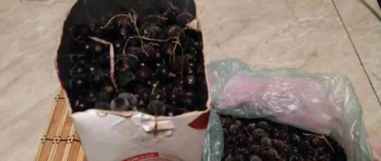 Dżem z czarnej porzeczki Delikatna jagoda w lekkiej galarecie (odmierzanie składnika szklanką)