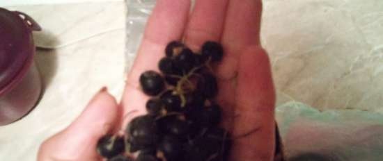 Dżem z czarnej porzeczki Delikatna jagoda w lekkiej galarecie (odmierzanie składnika szklanką)