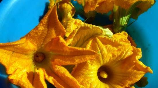 زهور الكوسة المقلية في الخليط (قدر ضغط ماركة 6051).