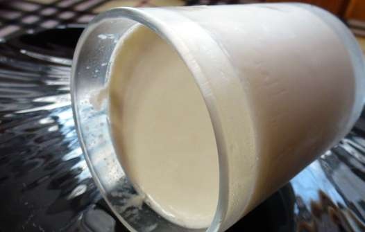 Házi termosztatikus tejföl (100-as márkájú joghurtkészítő)