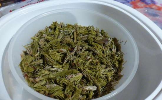 Zielona herbata - fermentacja w jogurcie Brand 100 i multicookerze Brand 701