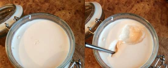 Latte cotto, latte cotto fermentato e varenets (Steba SV 2)