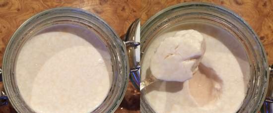 Latte cotto, latte cotto fermentato e varenets (Steba SV 2)
