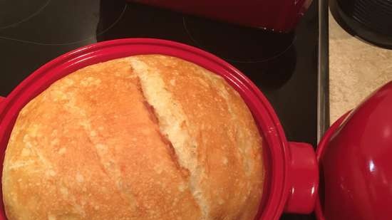 قوالب سيراميك ، أغطية ، أطباق ، صواني لخبز الخبز