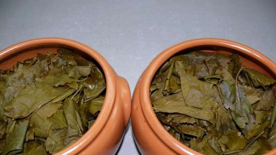 Grønn te fra bladene fra hagen og ville planter, tørkede jordbærhaler