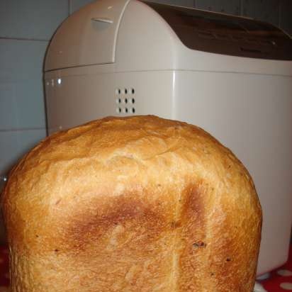 Panasonic SD-2501. Francouzský chléb v pekárně s cibulí, česnekem a bylinkami