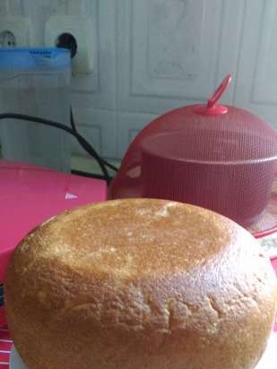 Pane con farina integrale e crusca d'avena (in un multicooker Redmond RMC-02)