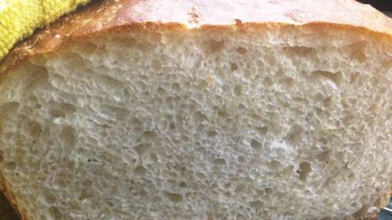 Bázeli kenyér (sütő)