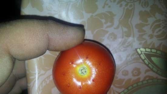 الطماطم في العصير الخاص