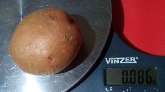 Zout gestreepte aardappelen (bakvormen Tortilla Chef 118000 Princess)