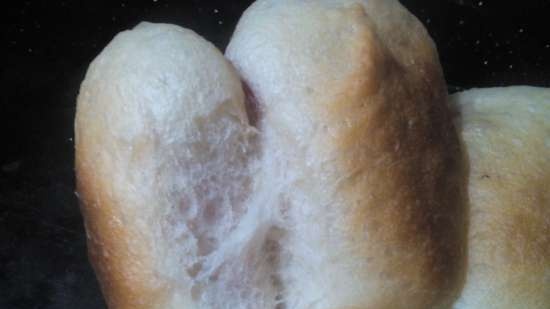 Lean dough in Panasinic bread maker (universal)