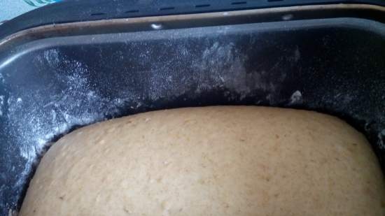 Torte di pasta con farina d'avena e farina di segale