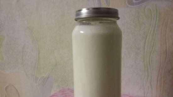 Yogurt (Steba DD1)