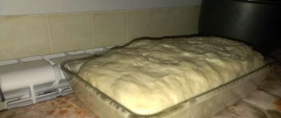 Kovászos fehér pirítós kenyér (sütő)