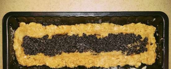 كعكة عسل الحبوب الكاملة مع التوت البري والشوكولاتة (خيار مع بذور الخشخاش) في الفرن