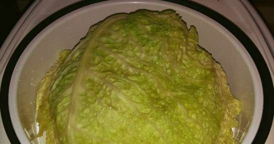 Savoy zelí plněné zelí s celerem na polštáři zelených fazolí ve variči Redmond RMC-M 4502