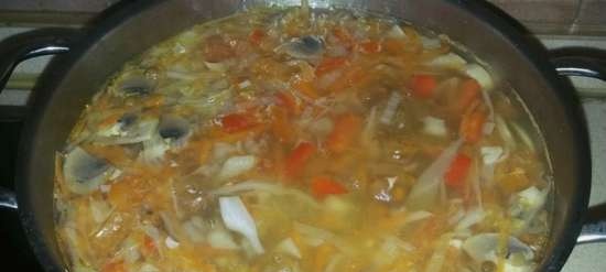 Tykk bete kyllingfilet suppe med linser og sopp
