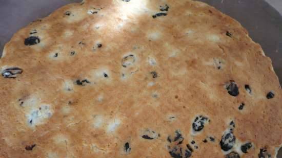 Placek z rodzynkami z leniwego ciasta na kefirze (grill wielopiecowy GFB-1500 do pizzy)