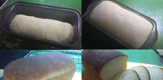 Crostini di pane all'aria con aglio e rosmarino