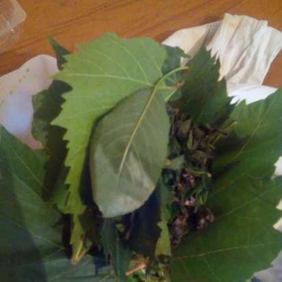 Mojito erjesztett tea menta levelekből, szőlőből és meggyből