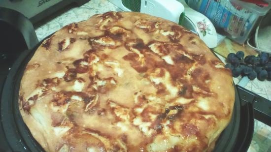 Csirkefilé zselés pite (Tortilla Chef 118000 PRINCESS)