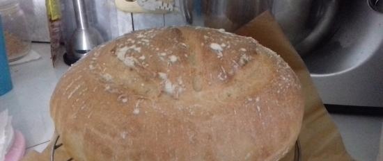 Búza élesztő kenyér 50% teljes kiőrlésű