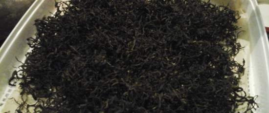 Włoskie włosy macho (fermentowana herbata z liści wierzby)