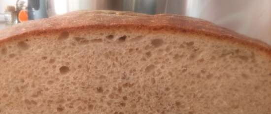 Pan de trigo sobre masa vieja (horno)