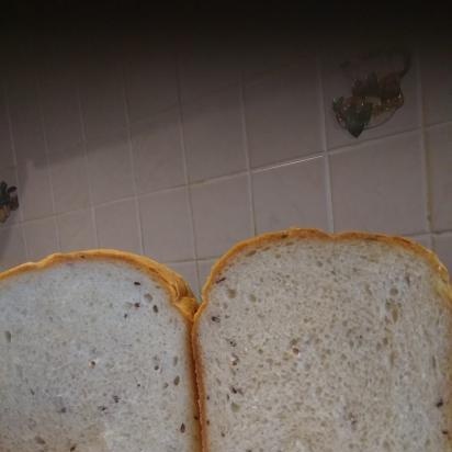 A kenyér nem működik a Panasonicban