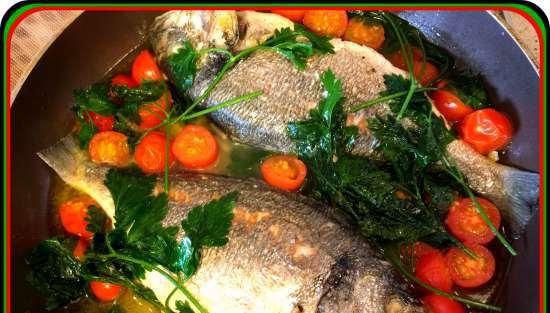 Seabream in Creazy Water