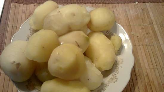 Cazuela de patatas Bremen