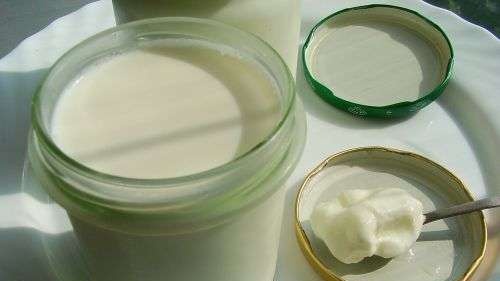 Kremet yoghurt på tørr Lactina startkultur på en tørr måte (Brand 6051 komfyr-trykkoker)